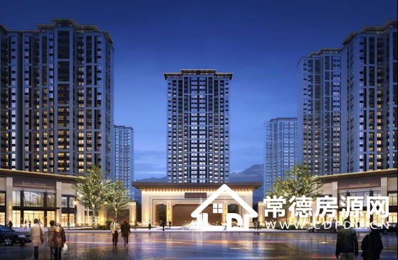 安乡状元华府配套图