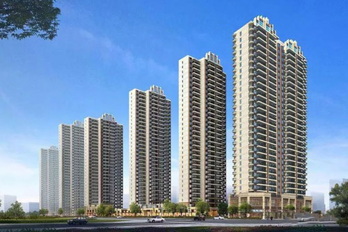 1708607808387888.jpg 11.jpg