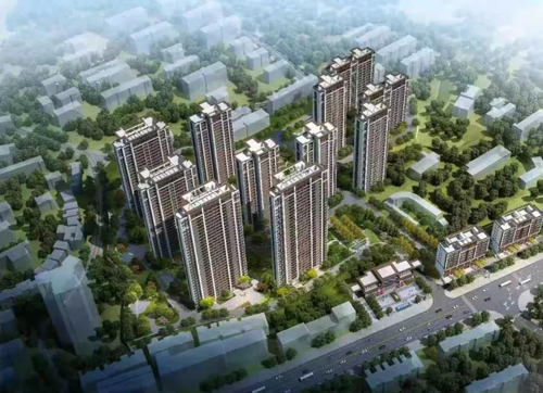 1712029933863976.jpg 11.jpg